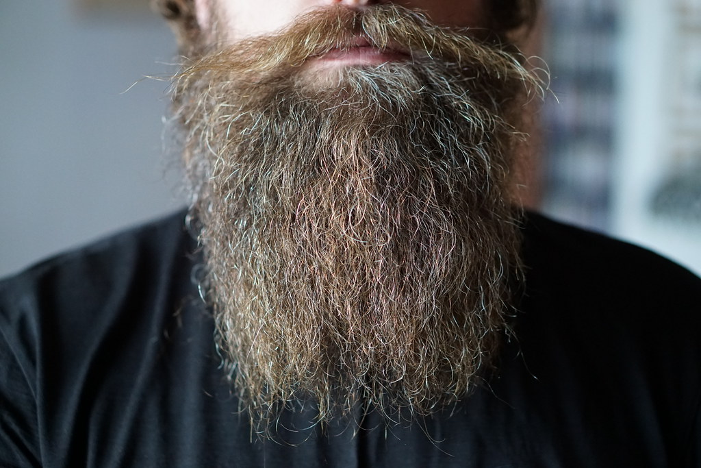 Beard Hair versus Head Hair: What's the Difference? – Best Hair Help